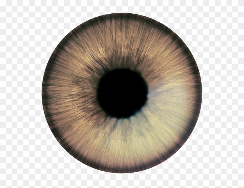 Olhos Png - Close-up Clipart