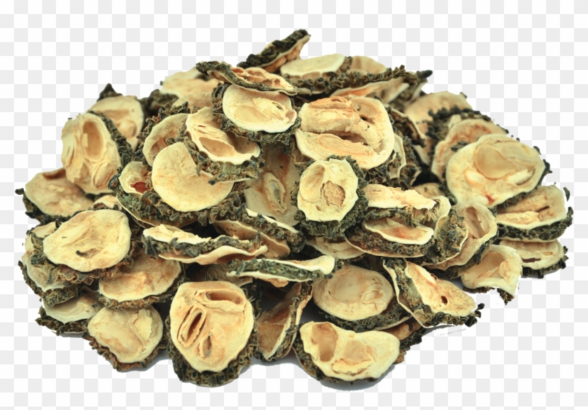 Organic Bitter Gourd Fruit - Inonotus Clipart