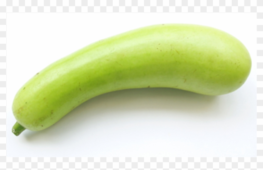 Download Bottle Gourd Zucchini Clipart Png Download PikPng