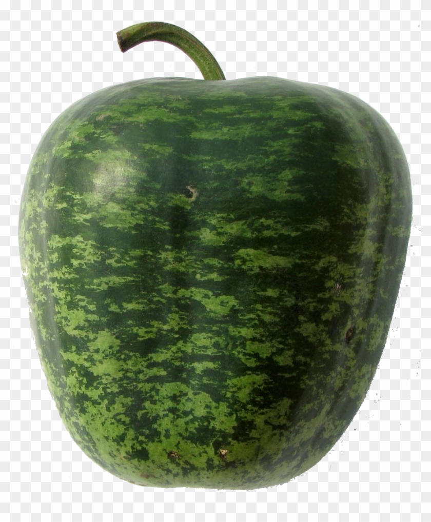 Growing Older Seeds - Gourd Clipart