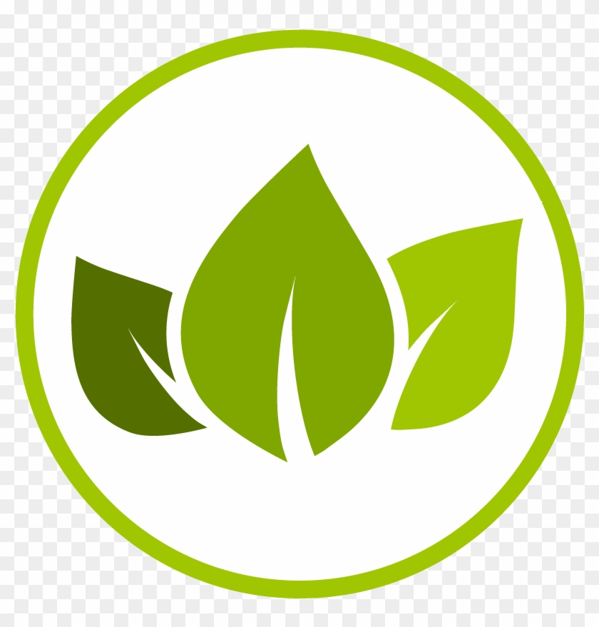 Hot Tub Energy Efficiency , Png Download - Skins De Imgur Pokemons Clipart