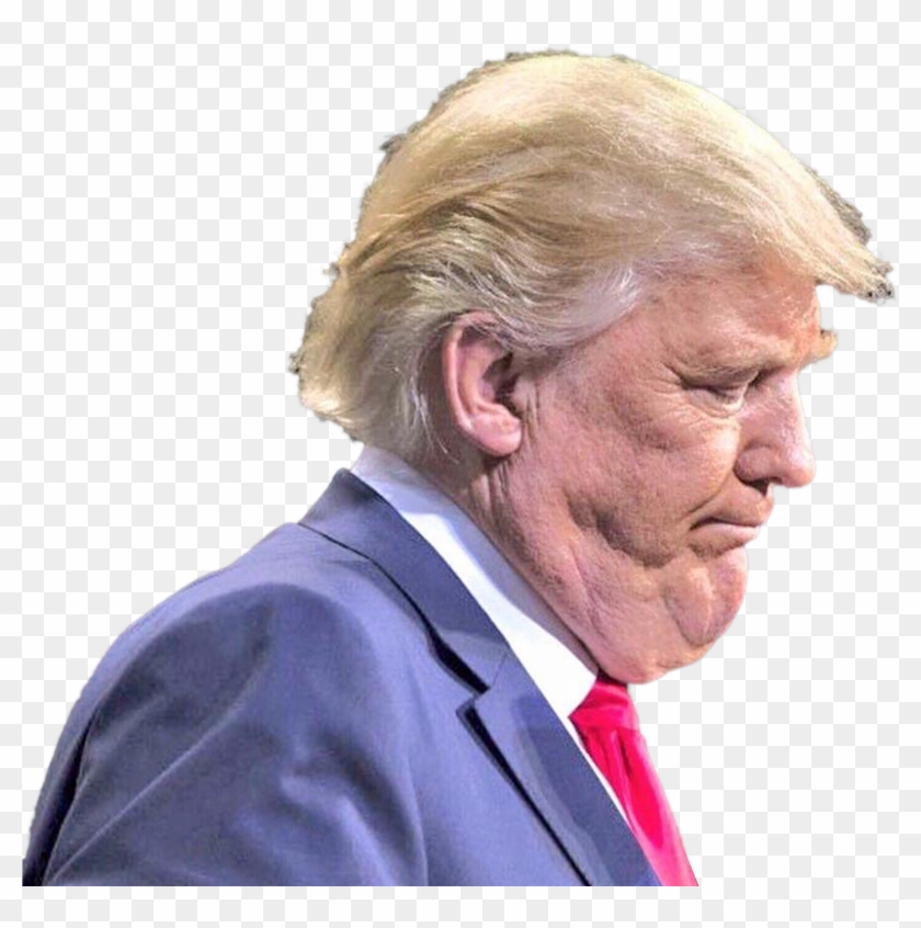 Unflattering Picture Of Donald Trump - Donald Trump Unflattering Clipart