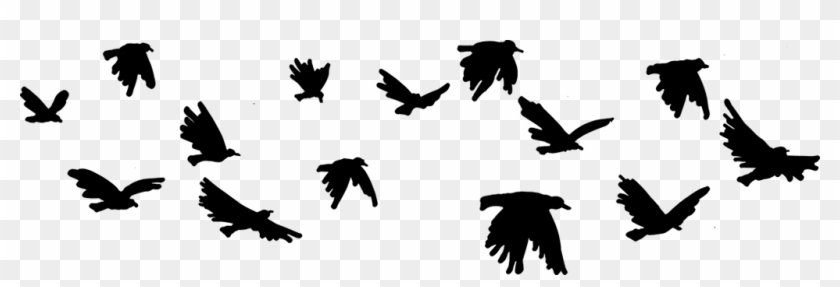 Pajaros - De Pajaros Png Clipart #3446602