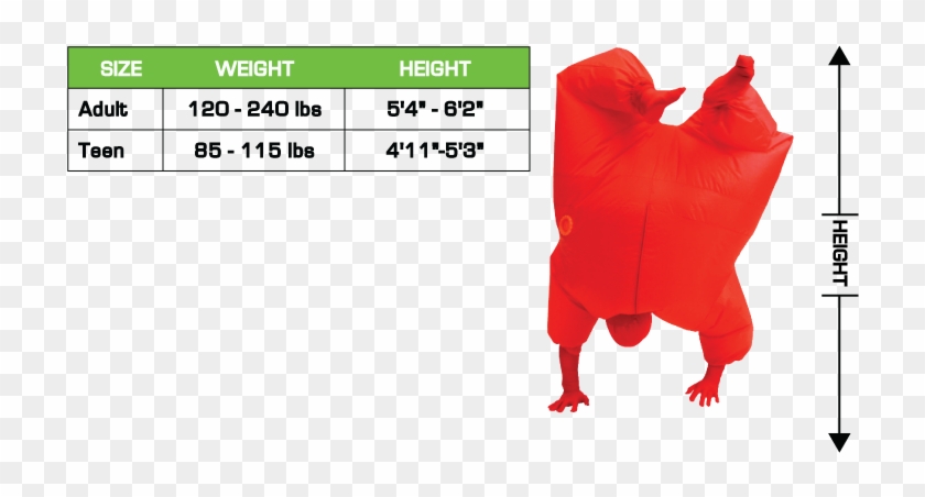 Chub Suits - Chub Suit Size Chart Clipart