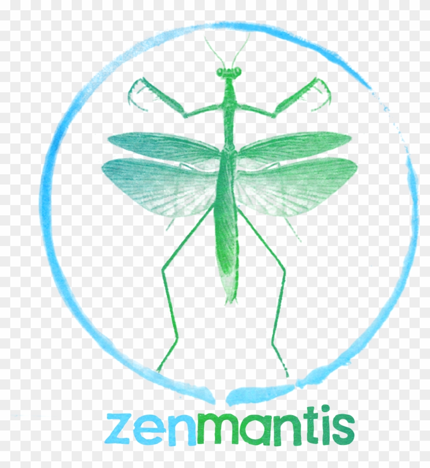 Zen Mantis Photography - Net-winged Insects Clipart #3450034