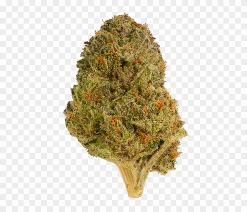 These Are The - Bigtree Clipart