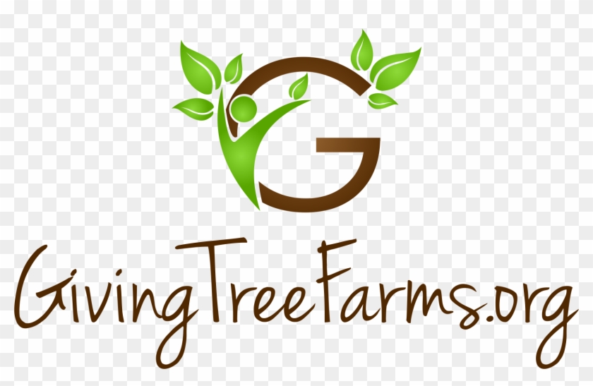 Giving Tree Farms - Air Cairo Clipart #3451381