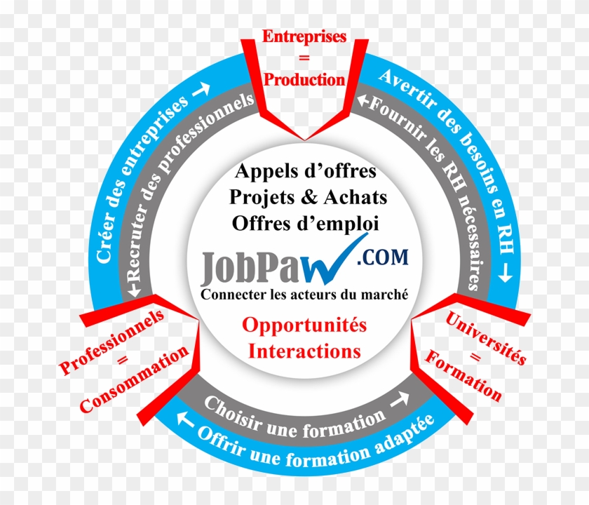 Animation - Circle Clipart #3453113