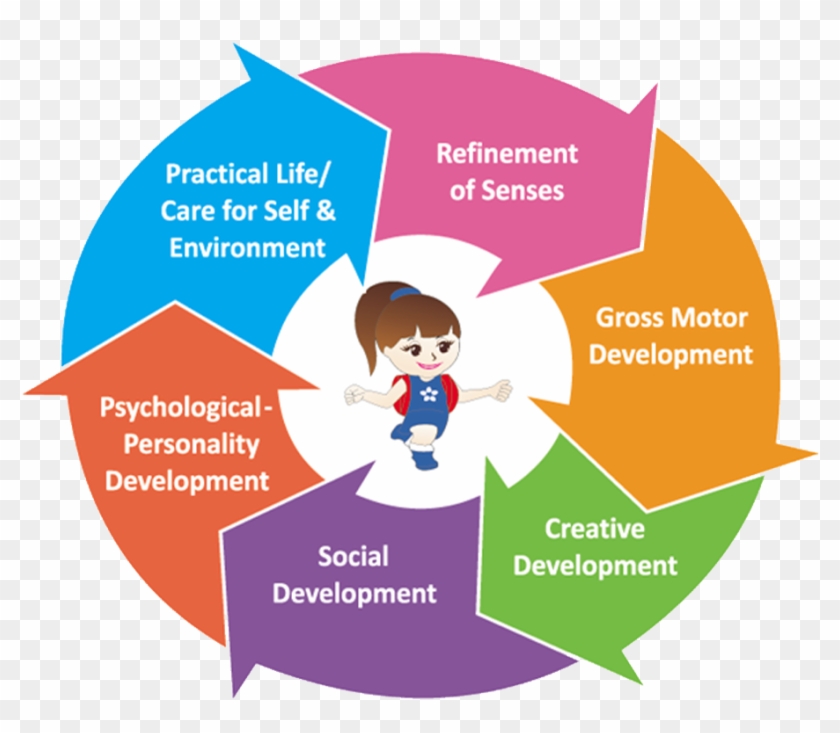 Curriculum - Plan Clipart