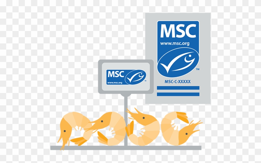 Fresh Fish Counters Labelling With Poster - Marine Stewardship Council Clipart
