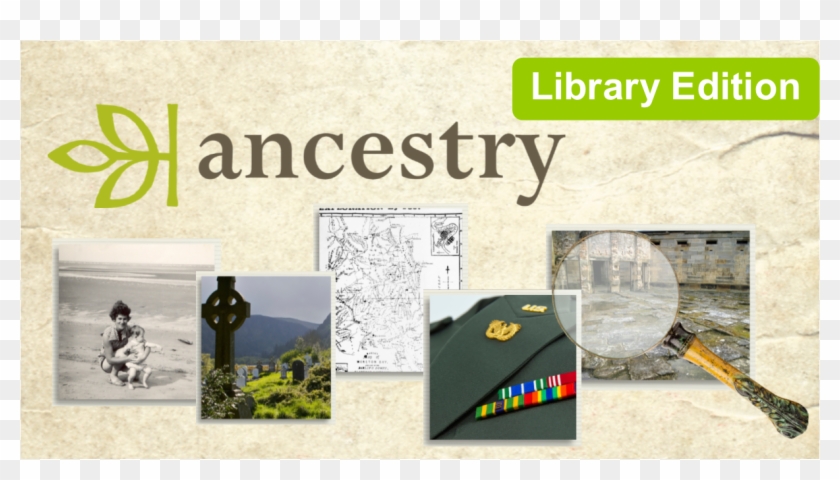 Learn To Use Ancestry - Ancestry Dna Websites Clipart #3454653
