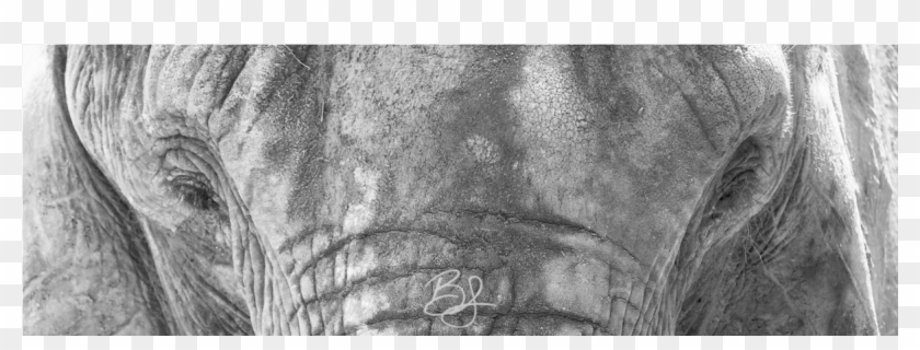 Eyes Of A Giant Bsewellphoto Clipart #3455553