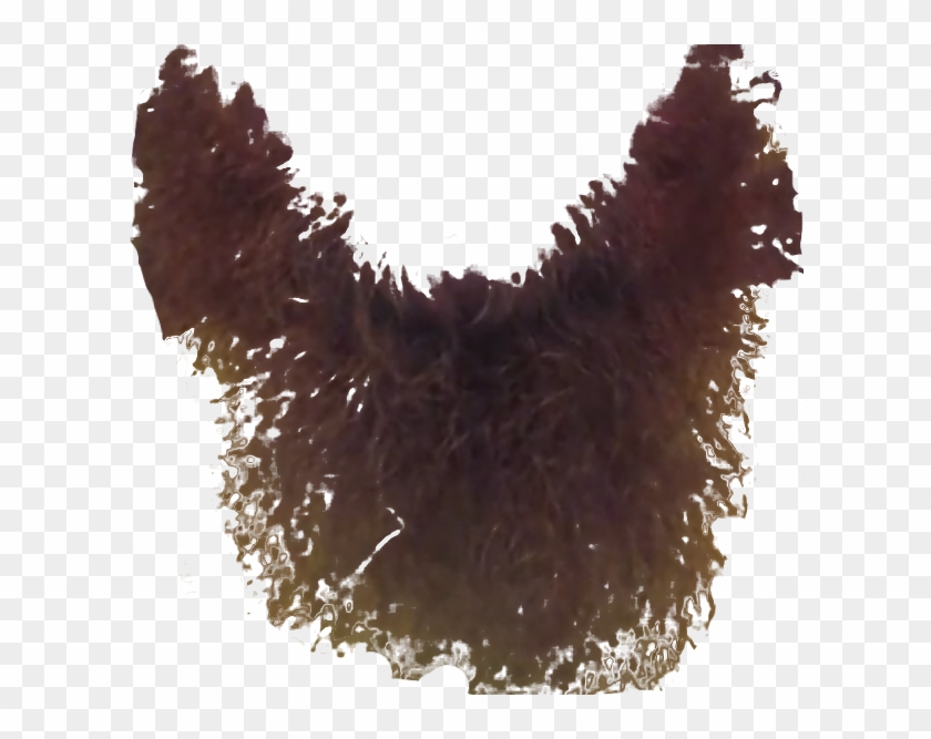 Beard Transparency Photo Beardtransparency Zps6941fdf0 - Bird Clipart #3456961