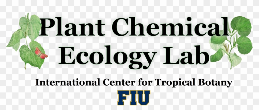 Plant Chemical Ecology At Fiu - Florida International University Clipart