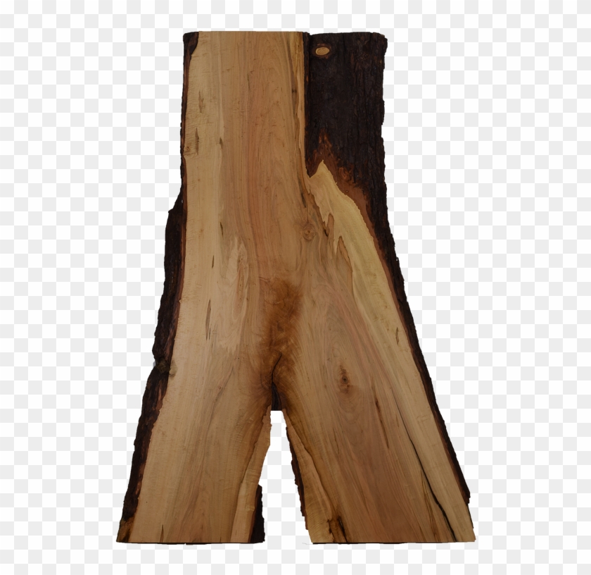 Maple Live Edge Slab - Lumber Clipart #3460898