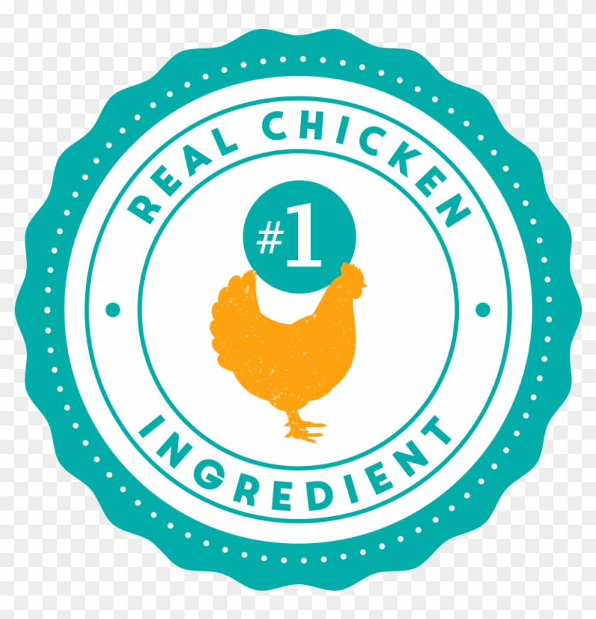 Pioneer Woman Real Chicken Clipart #3462525