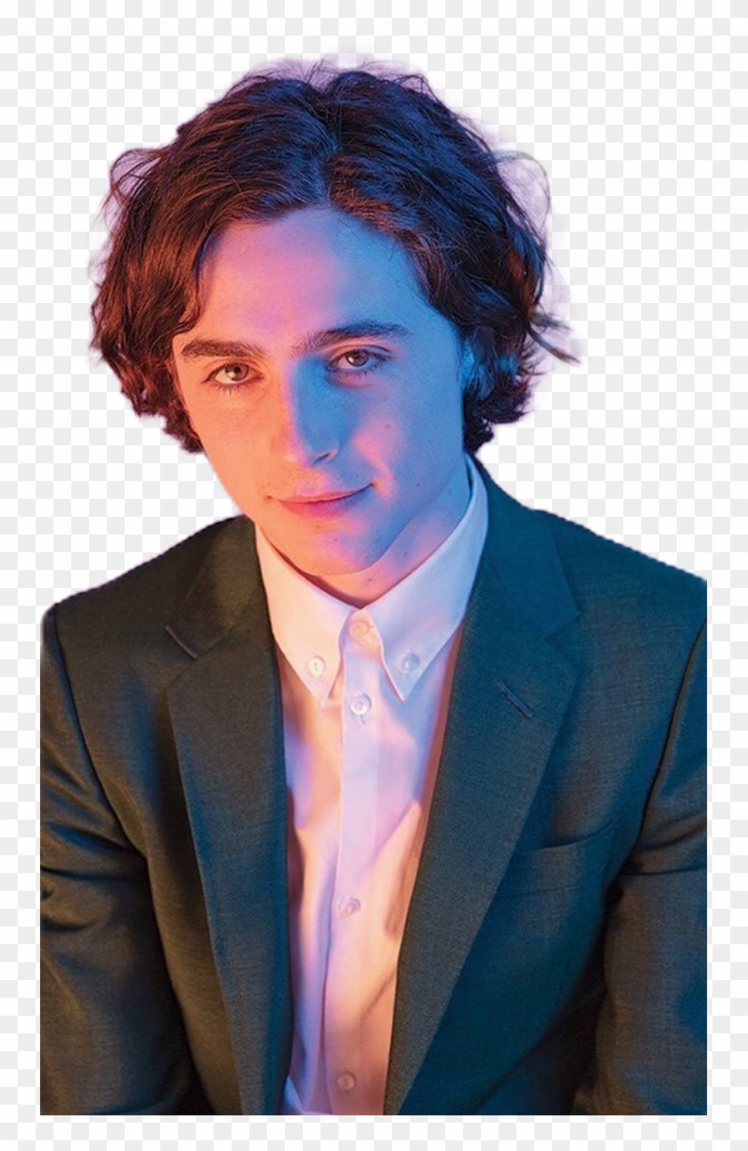 {tags To Ignore} - Timothee Chalamet Hair Oscar Clipart #3463377