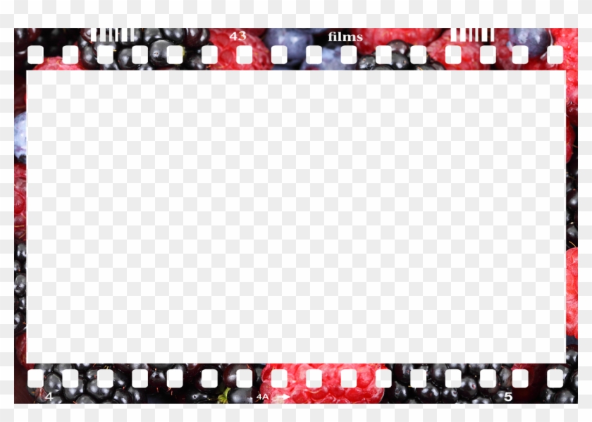 Photograph Clipart