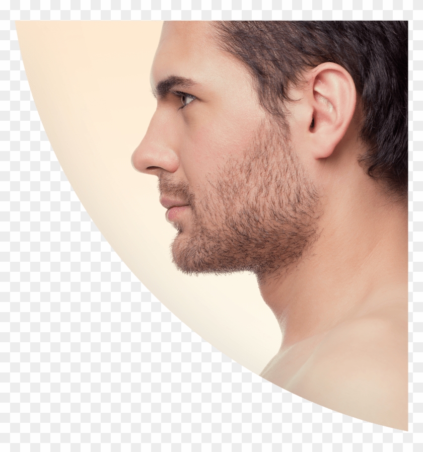 Face Proceedures - Perfect Male Nose Side Profile Clipart