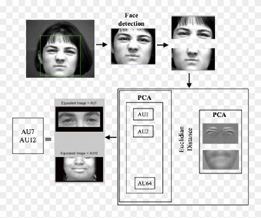 Detection Pair Of Action Units Per Human Face Image - Collage Clipart #3466305