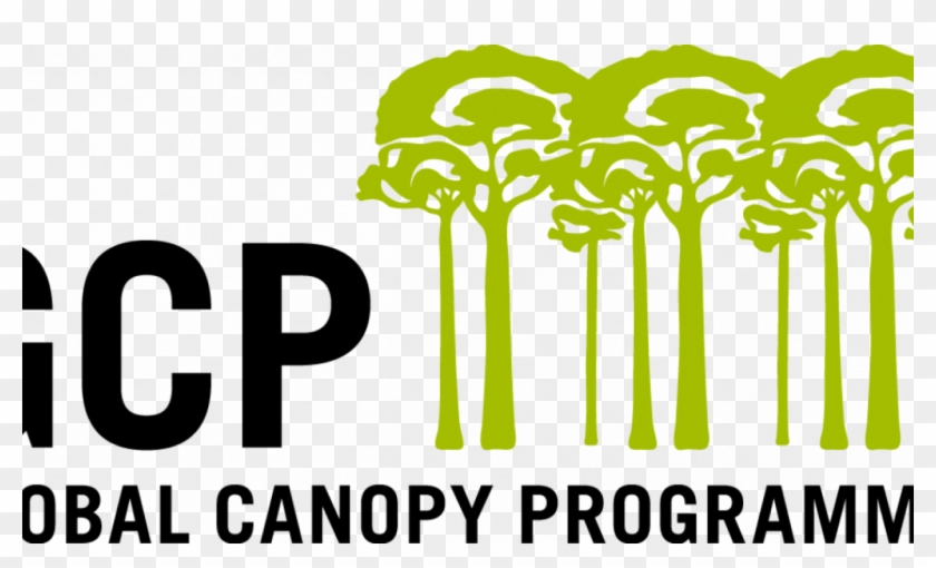 Can Companies Achieve Zero Deforestation In Their Supply - Global Canopy Programme Clipart #3466686