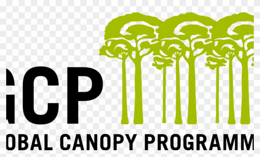 Can Companies Achieve Zero Deforestation In Their Supply - Global Canopy Programme Clipart