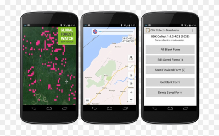In The Case Of Kibale National Park, Forest Watcher - Forest Watcher App Clipart #3467279