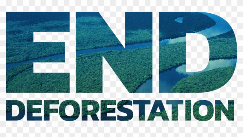 Use Forest Imagery And Patterns Within Text To Make - Artificial Turf Clipart #3467410