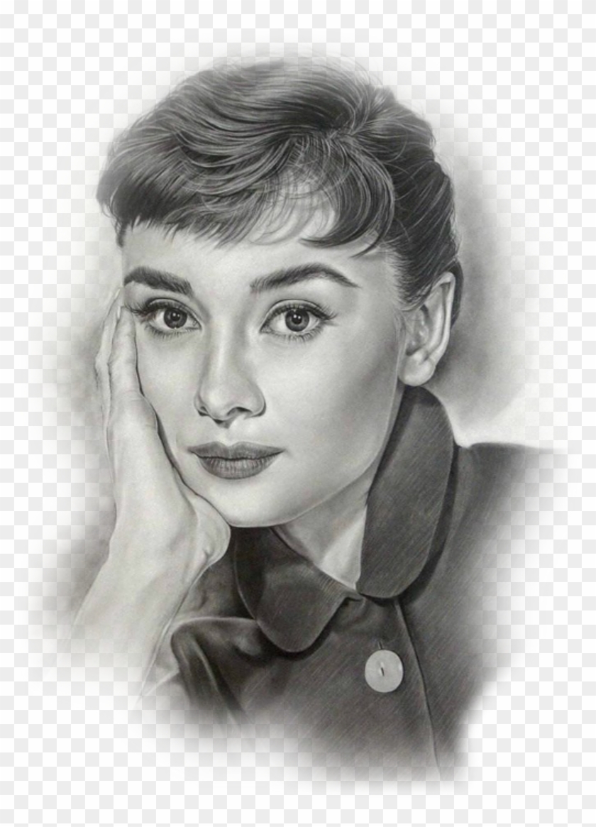 Vector Transparent Stock Fd A Feddb Xl Png Obr - Одри Хепберн Рисунок Карандашом Clipart