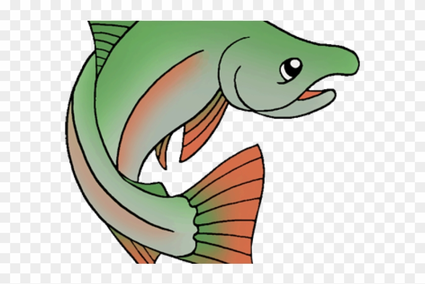 Salmon Clip Art - Png Download