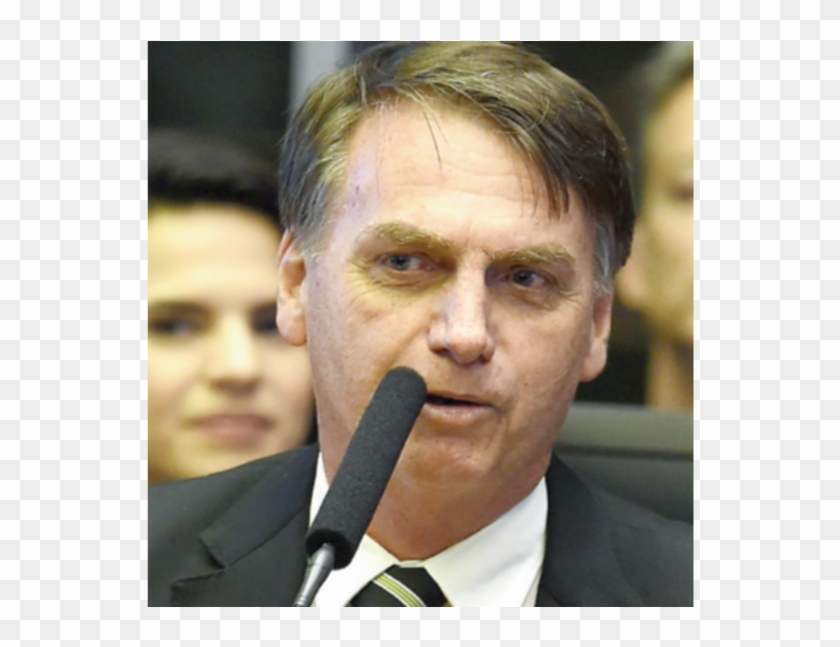 Bolsonaro Com A Constituição Clipart