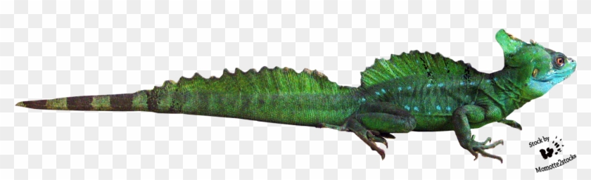 Baby Dragon, Horns, Angles, Wings, Machinist Square, - American Crocodile Clipart