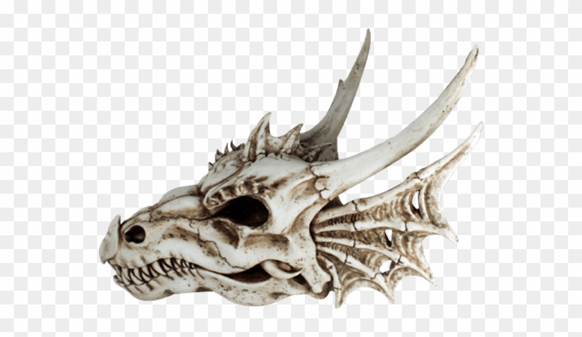 Price Match Policy - Skull Clipart