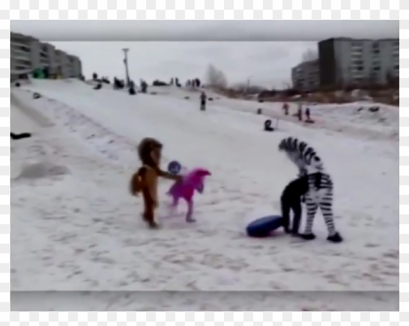 Hombres Disfrazados De Los Personajes De Madagascar - Алекс Марти Clipart #3470480