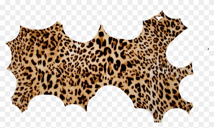 Torn Sticker - Felidae Clipart