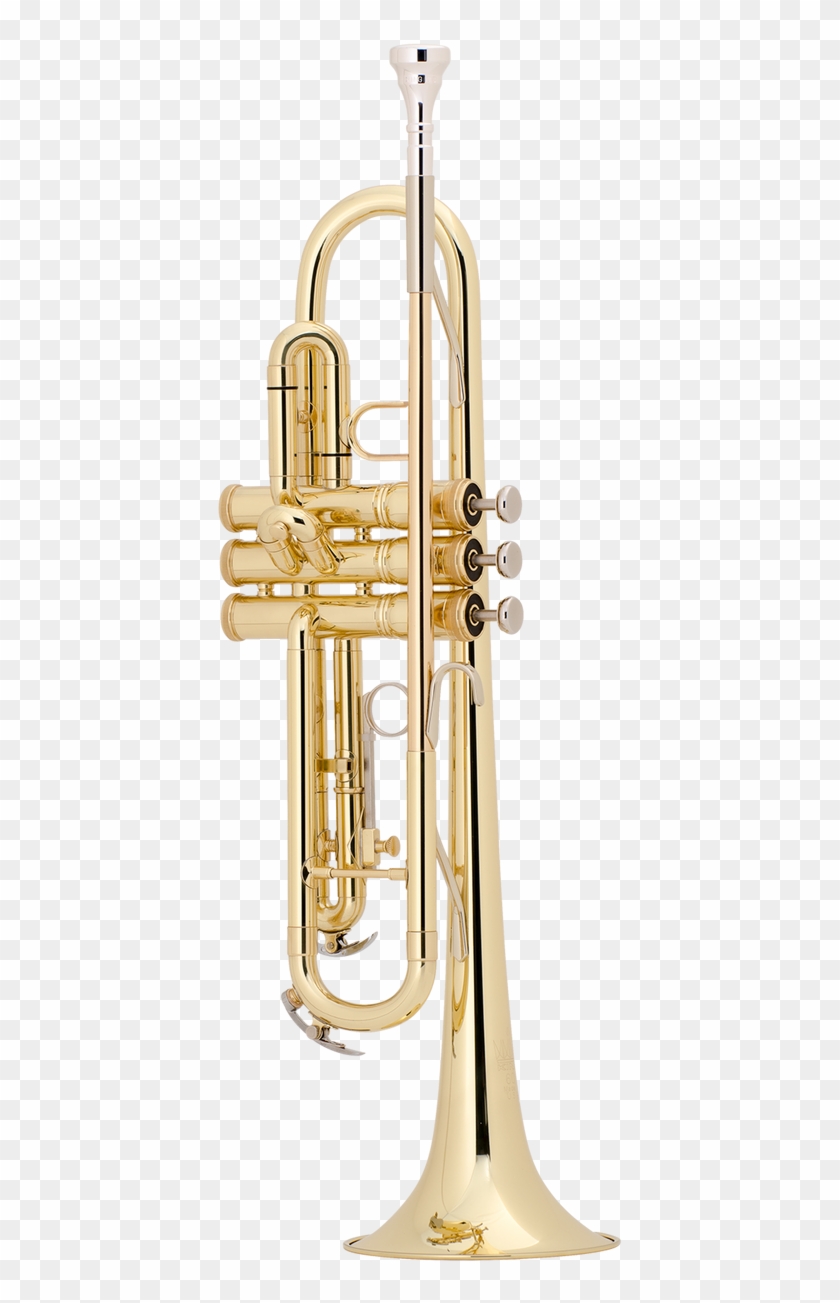 King 601 Trumpet - Trompete Clipart
