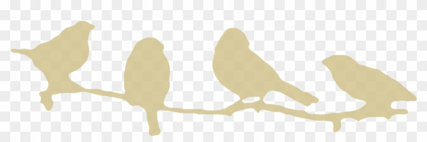 Different, Detail, How To Make, Design - Silhouette Of Birds On A Branch Clipart #3470955