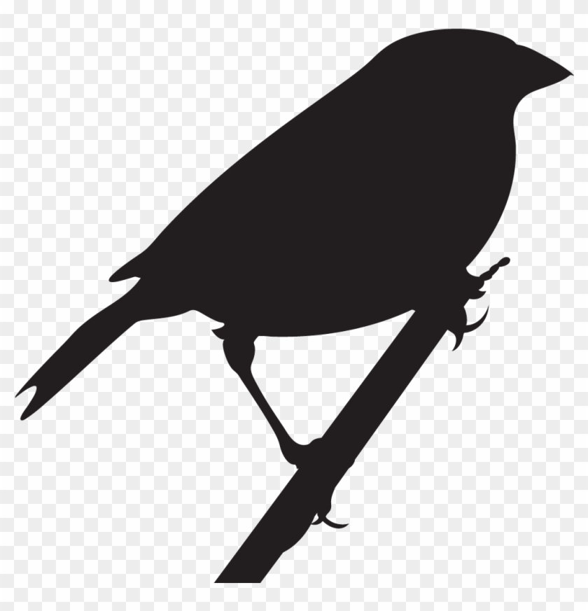 Nelson's Sparrow Overview, All About Birds, Cornell - Grasshopper Sparrow Silhouette Clipart