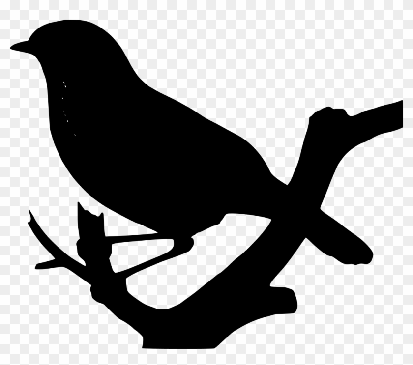 Download Png - Bird Clipart
