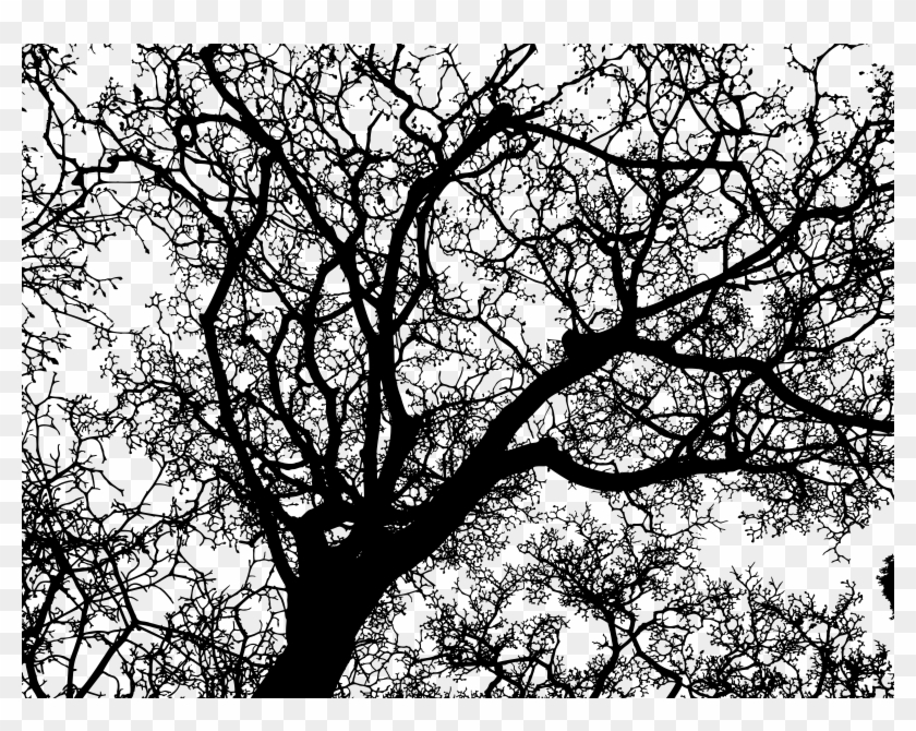 This Free Icons Png Design Of Sprawling Winter Tree - Brain Tree Art Clipart
