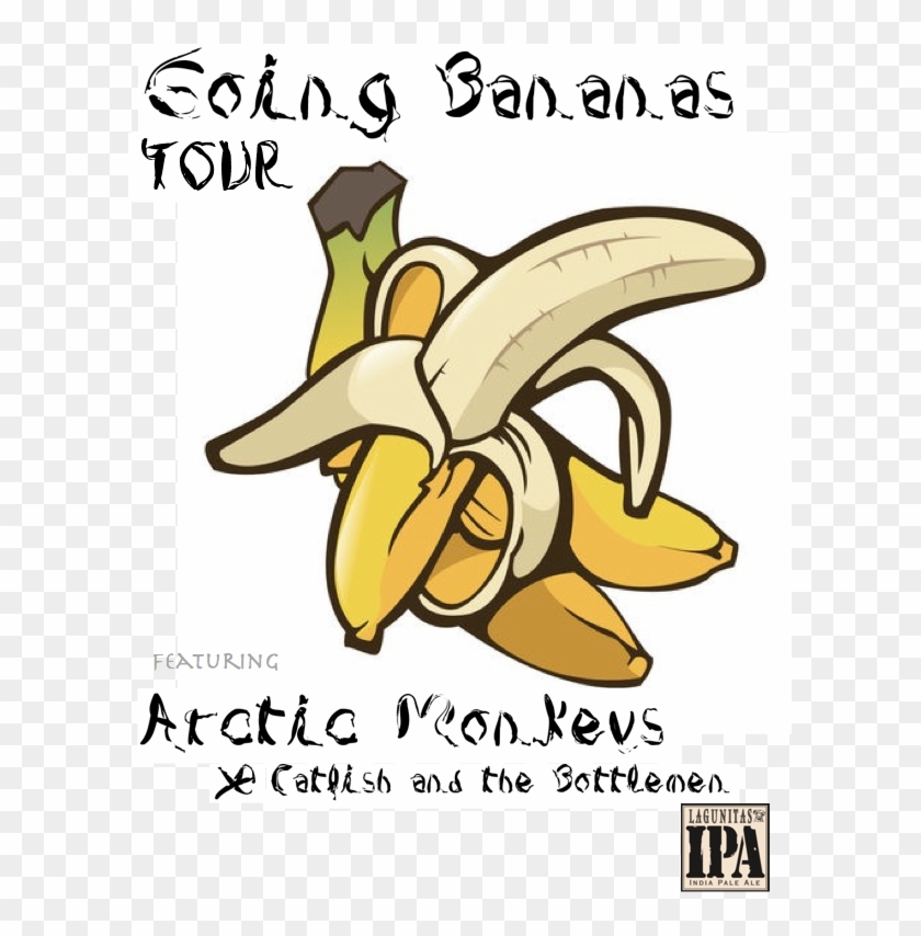 Orchid Clipart #3471863