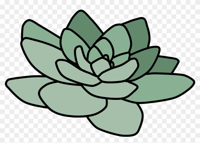 Cactus Art Tumblr Cactus Tumbler Transparent Pineapple Clipart