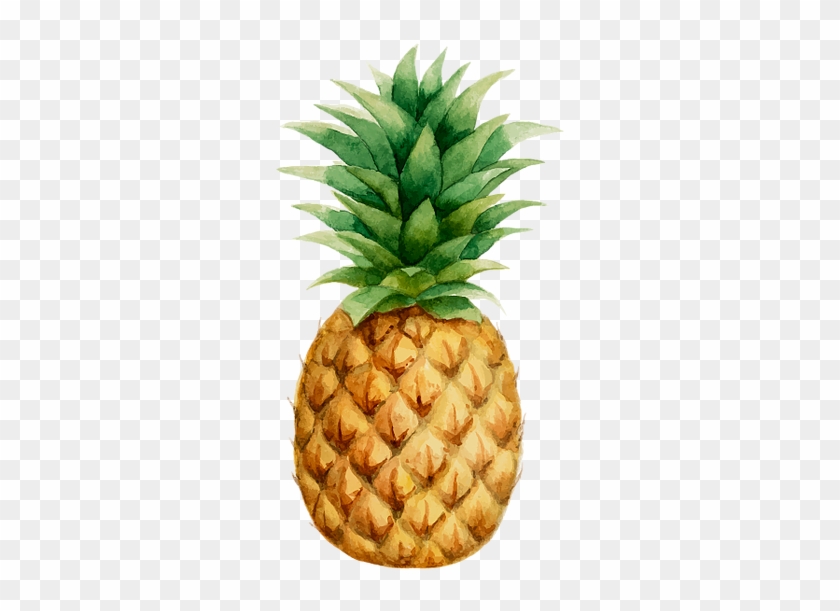 Prendadaeavo Pineapple Drawing, Pineapple Wallpaper, - Watercolor Pineapple Free Vector Clipart