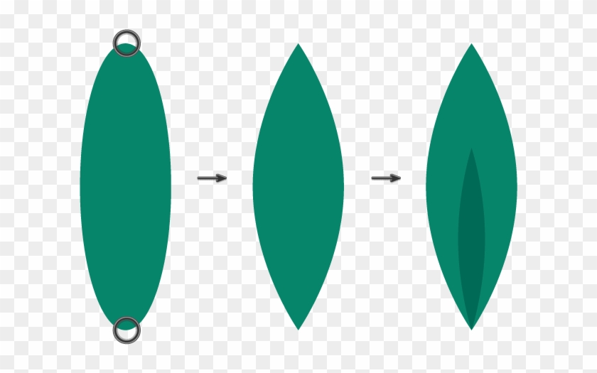 How To Create The Pineapples Leaves - Circle Clipart