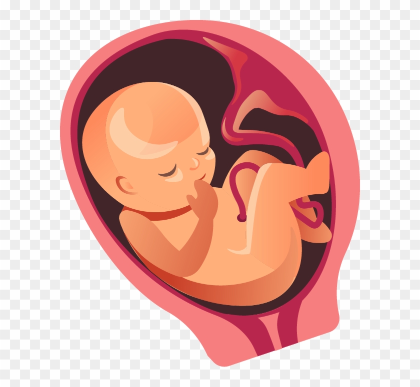There's Less Movement Now Because He/she Is Filling - Baby Kicking In Womb Transparent Clipart