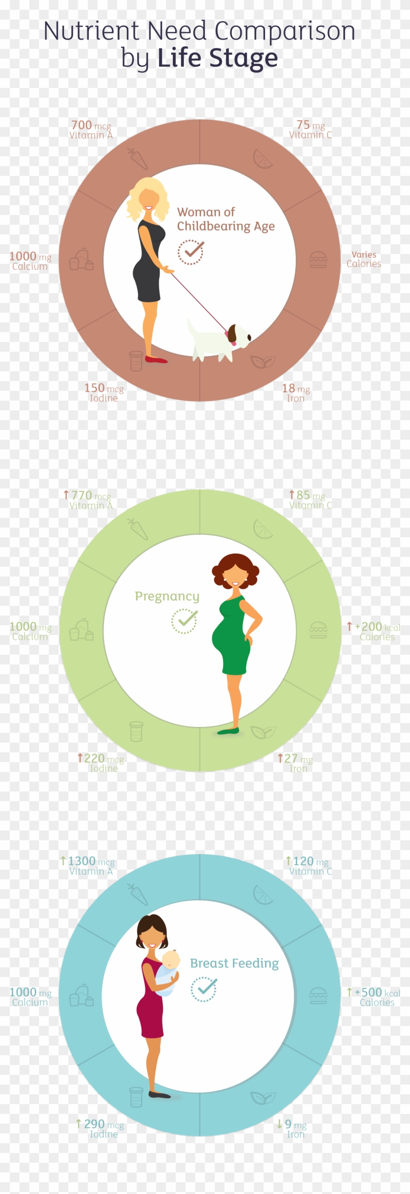 Vitamin And Mineral Needs Can Vary Greatly Between - Illustration Clipart