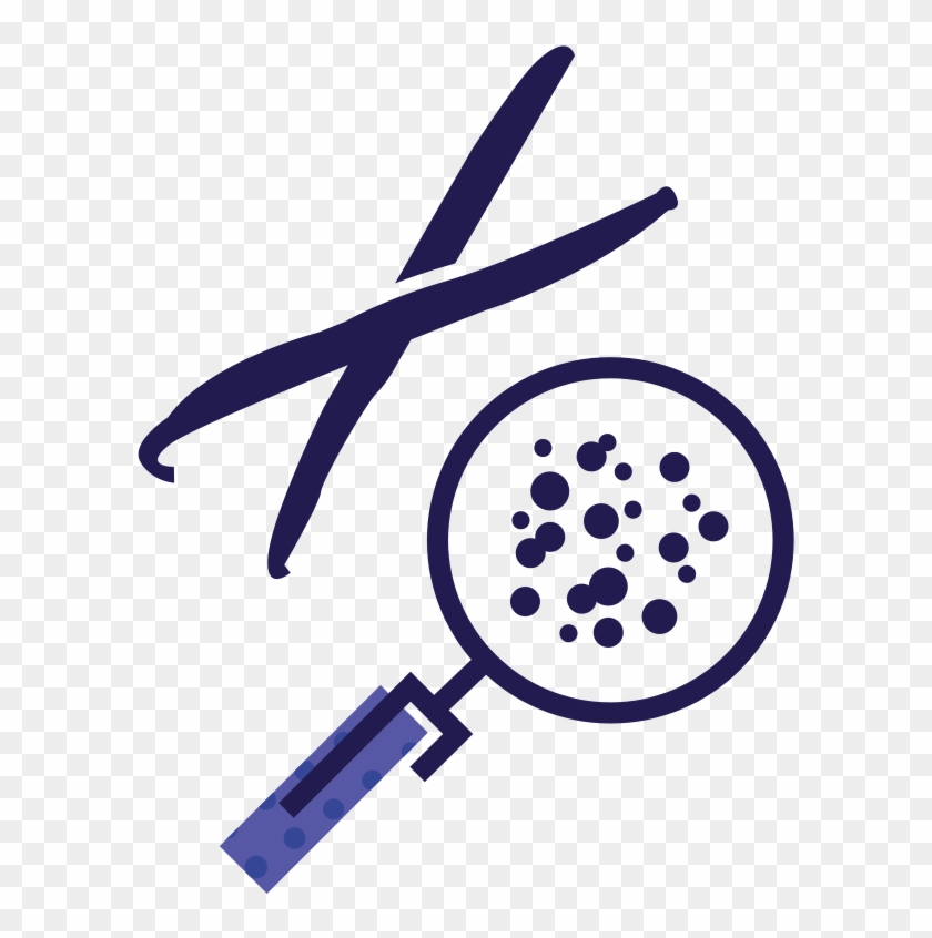 Seed - Circle Clipart