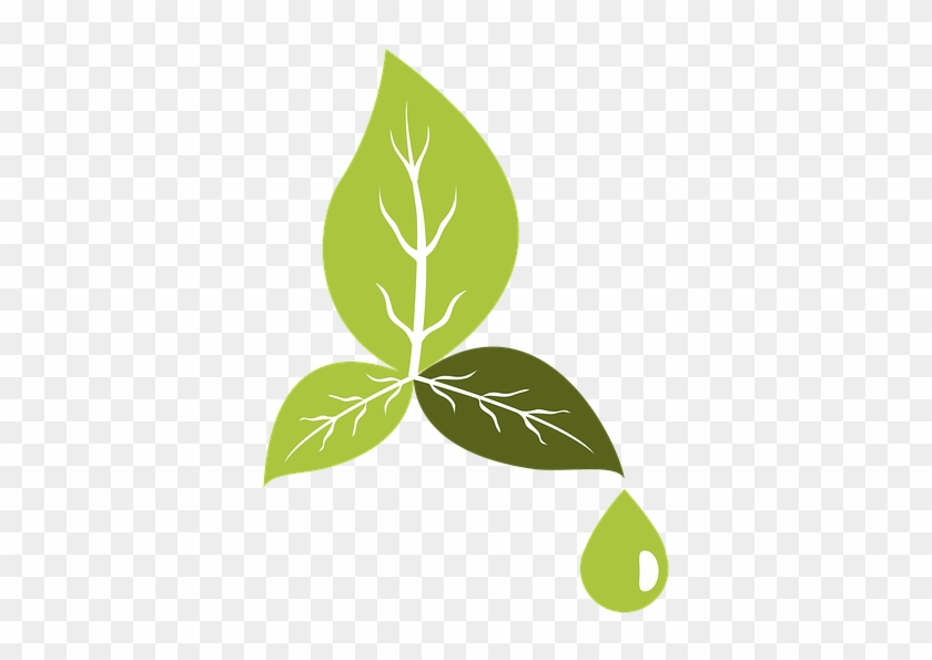 Environment Friendly Eco Nature Electricity Water - Environnement Png Clipart