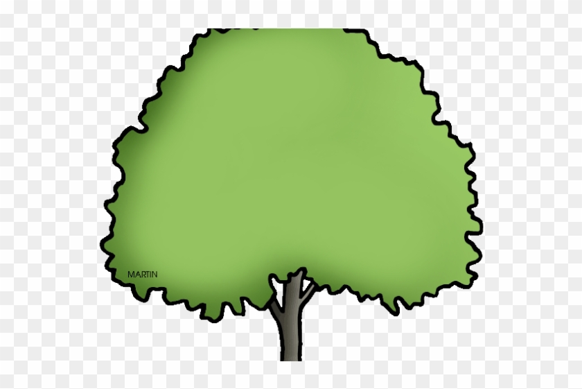 Tree Clipart Clipart Elm Tree - Clip Art - Png Download