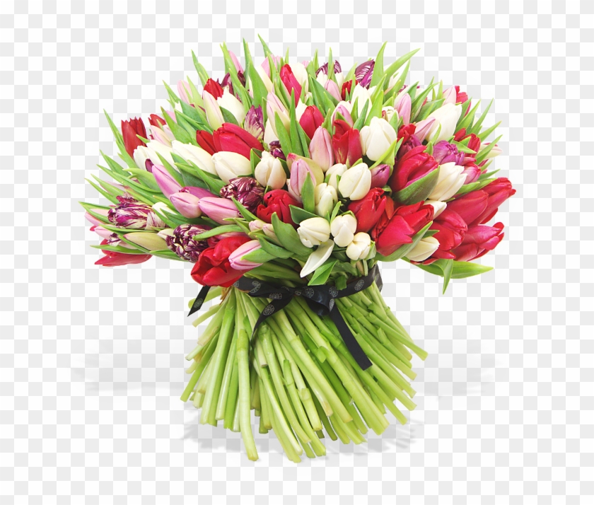 200 British Tulips - Bouquet Clipart